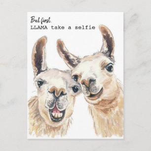 Llama Puns Briefkaart - Llama neemt selfie in