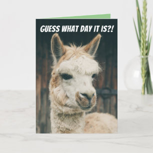 Llama - Raad eens op welke dag het is... het is ge Kaart