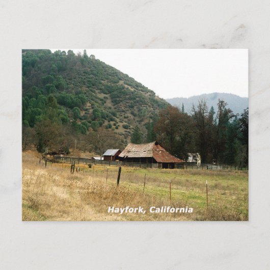 Llama Ranch...... Briefkaart (Voorkant)