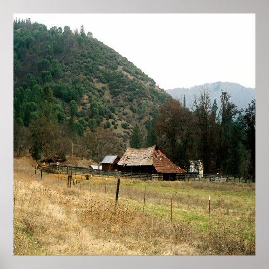 Llama Ranch...... Poster (Voorkant)