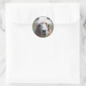 Llama Ronde Sticker (Tas)