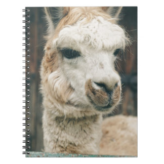 Llama Sluiten Notitieboek