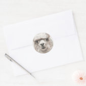 Llama Smiles Ensemble de 20 Stickers Enveloppe Pho (Enveloppe)
