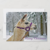 Llama Snow-kerstfoto Feestdagenkaart (Voorkant)