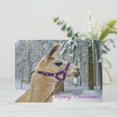 Llama Snow-kerstfoto Feestdagenkaart (Staand voorkant)