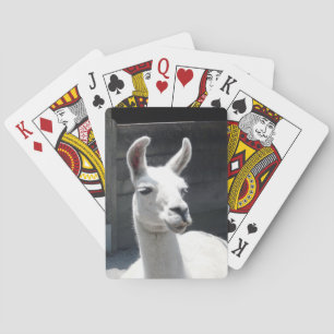 Llama-speelkaarten glimlachen speelkaarten