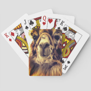 Llama-speelkaarten Pokerkaarten