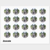 LLAMA STICKER (Vel)
