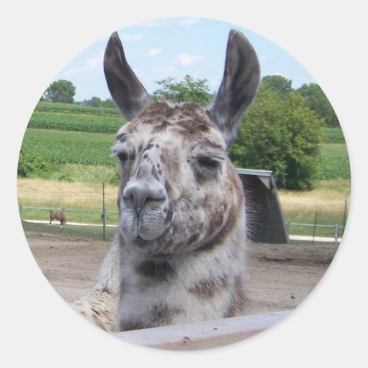 LLAMA STICKER (Voorkant)