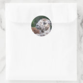 LLAMA STICKER (Tas)