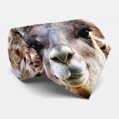 Llama Stropdas (Opgerold)