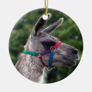 Llama Superiority Keramisch Ornament
