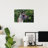 Llama Superiority Poster (Thuiskantoor)