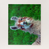 Llama sur une ferme, Jigsaw Puzzle (Vertical)