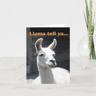 "Llama Tell Ya" Glimlachende Llama Blank Note Kaar Kaart