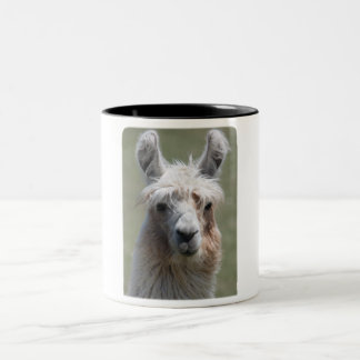 Llama!! Tweekleurige Koffiemok