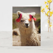 Llama, verjaardag kaart (Gele Bloem)