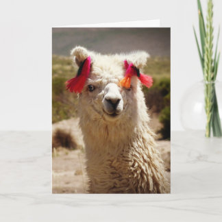 Llama, verjaardag kaart