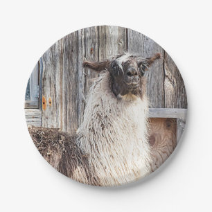 Llama voor een schuur papieren bordje