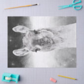 Llama-Waterverf Tissuepapier (Craft)