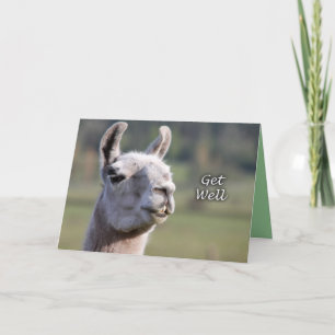 Llama wordt gezond   Get Well Soon Llama Kaart