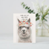 Llama zeg gewoon hoeveel ik je Briefkaart MIST (Staand voorkant)