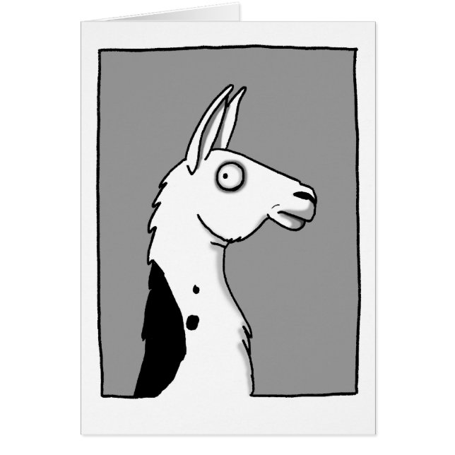 LlamaLlama (Devant)