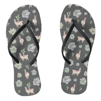 Llamas in de woestijn met cacti en amaryllis teenslippers