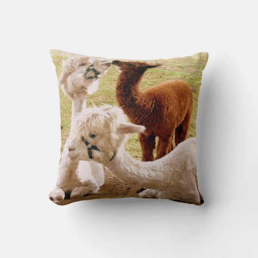 Llamas met Baby cria-ussen Kussen (Voorkant)