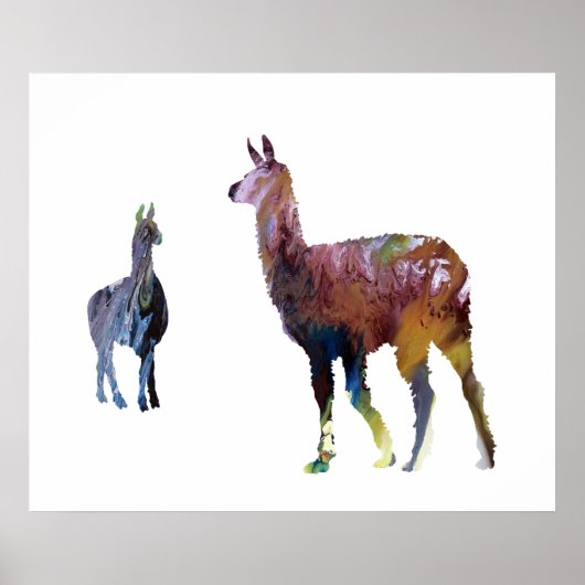 Llamas Poster (Voorkant)
