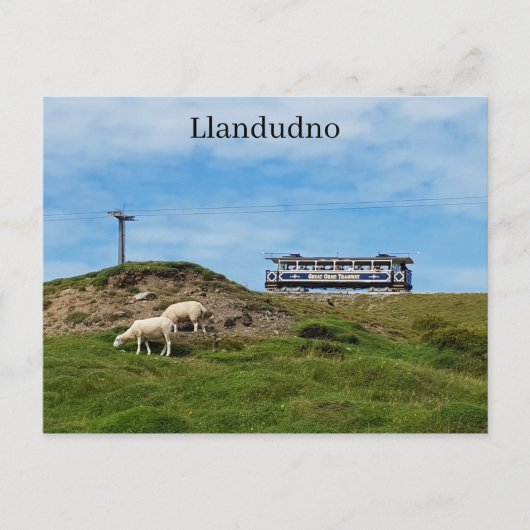 Llandudno - Great Orme Briefkaart (Voorkant)