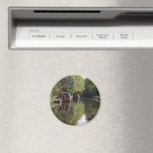 Llangollen Canal Magnet Magneet (Insitu (Vaatwasser))