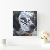 Llewellin Setter Wall Clock Vierkante Klok (Huis)