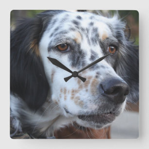 Llewellin Setter Wall Clock Vierkante Klok
