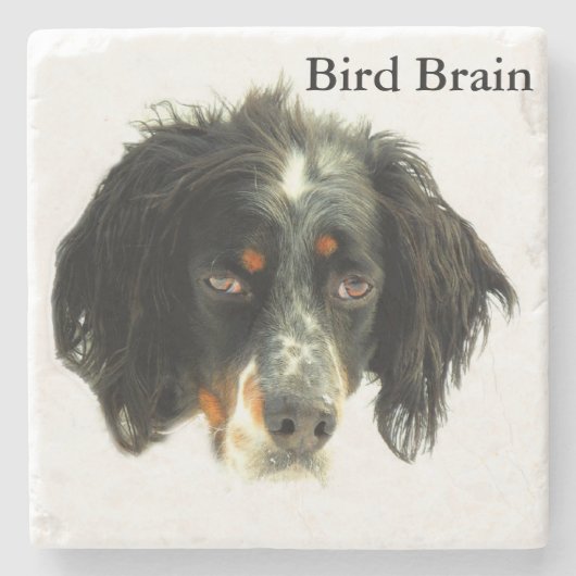 Llewellyn Setter Bird Brain Stenen Onderzetter (Voorkant)