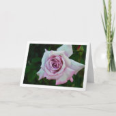 Llilac Roos Portret Kaart (Voorkant)
