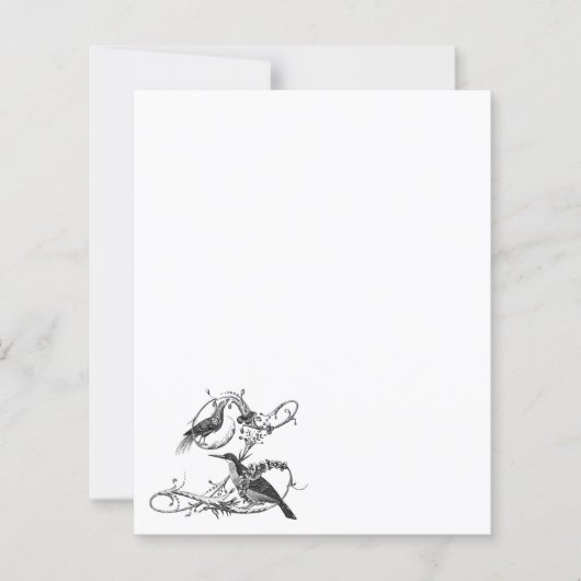 Lo Liolli  ontwerp Italiaans papier (Voorkant)