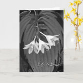 Lo Siento, Spaanse sympathie, Hosta Blooms Kaart (Gele Bloem)