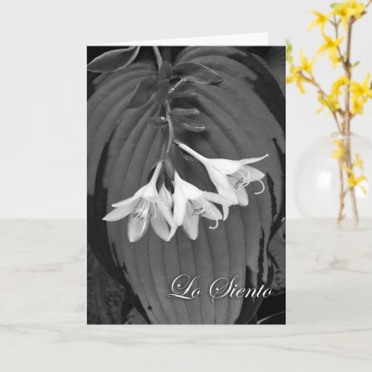 Lo Siento, Spaanse sympathie, Hosta Blooms Kaart (Gele Bloem)