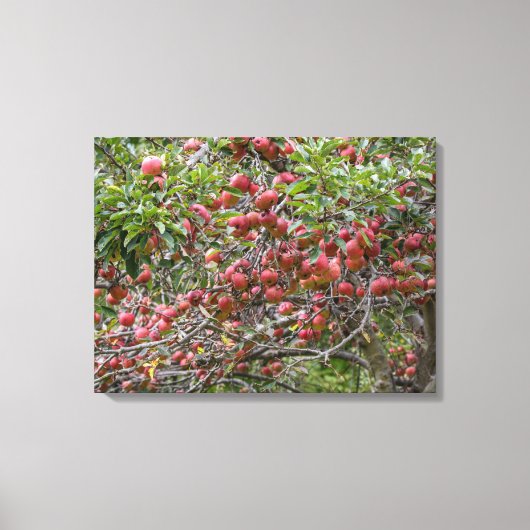 Loaded Apple-structuur Canvas Afdruk (Voorkant)