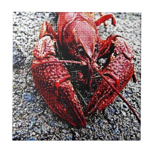 Lob papa tegeltje (Voorkant)