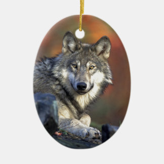 Lobo Gris Keramisch Ornament