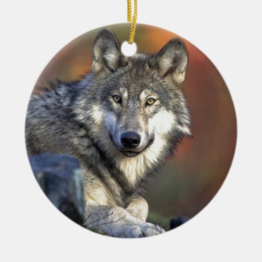 Lobo Gris Keramisch Ornament (Voorkant)
