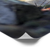 Lobo Gris Poster (Hoek)