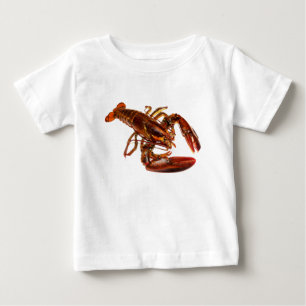 Lobster
