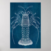 Lobster Blueprint Poster (Voorkant)