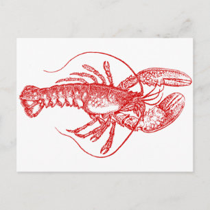 Lobster Briefkaart
