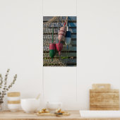 Lobster Buoys Poster (Keuken)