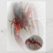 Lobster Flyer (Achterkant)