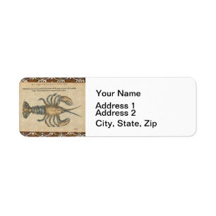 Lobster Illustration Antiek Maine Seafood Etiket